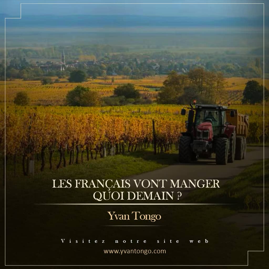 Les Français vont manger quoi ?